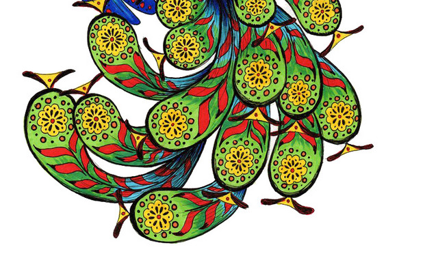 手绘绚丽孔雀插画素材