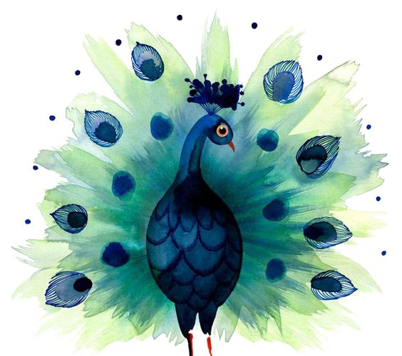 手绘卡通水彩孔雀插画