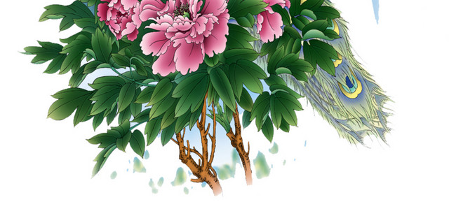 绚丽孔雀手绘插画素材