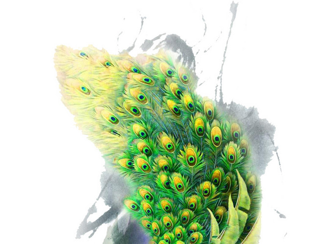 绚丽孔雀手绘水彩插画素材