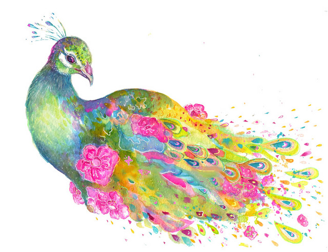 手绘美丽孔雀插画素材