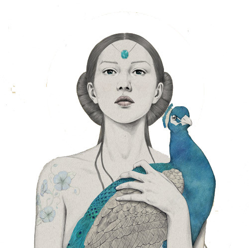 手绘美女孔雀插画素材