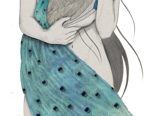 手绘美女孔雀插画素材