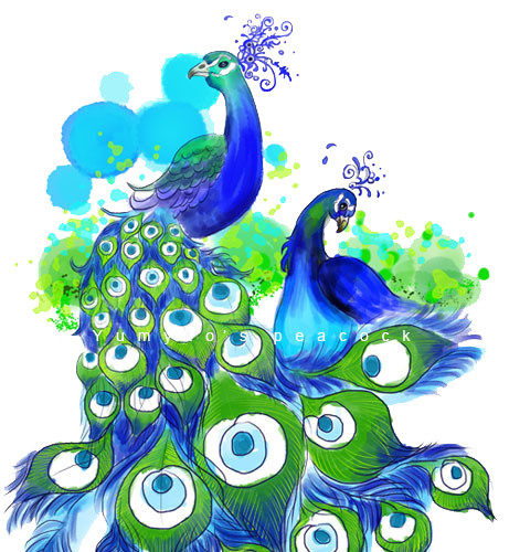 卡通手绘孔雀插画素材