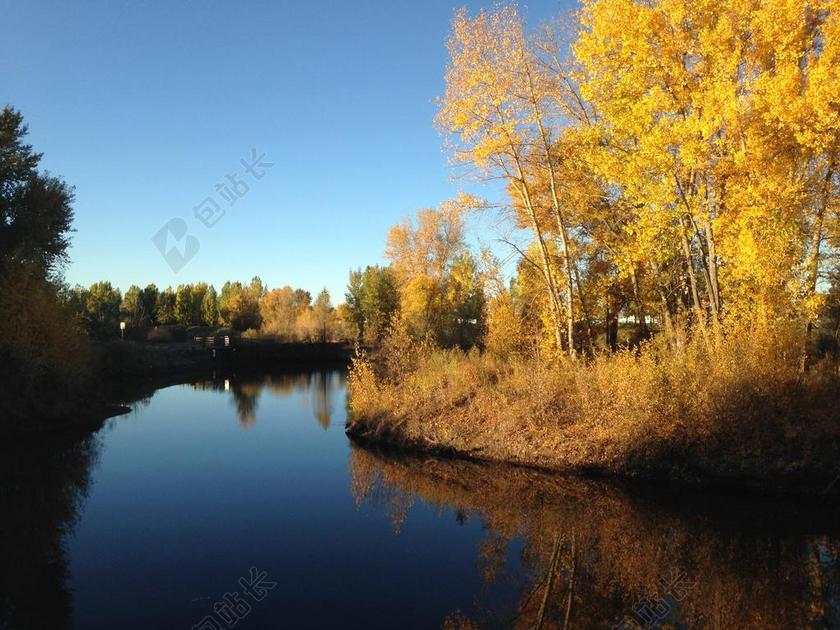 秋天 叶子 秋 秋天树叶 季节 秋天树叶背景 黄色 橙色