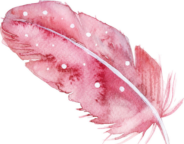 粉色羽毛水彩插画素材