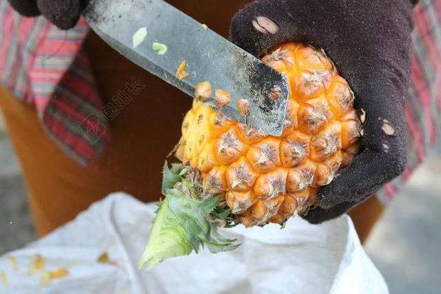 菠萝 水果 街 河内 食品 越南 刀