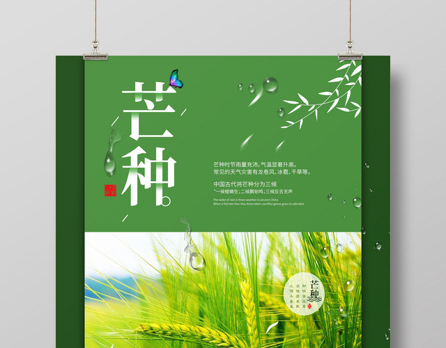 绿色麦田二十四节气芒种海报
