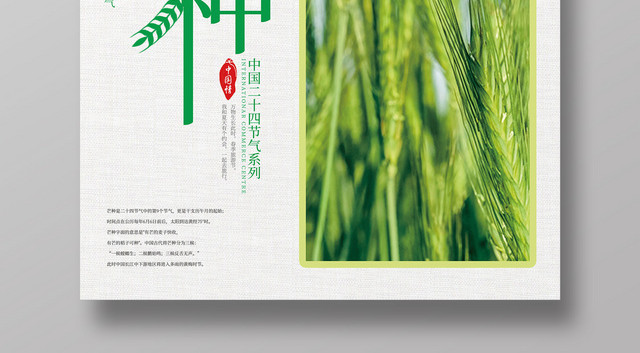 创意麦田二十四节气芒种海报