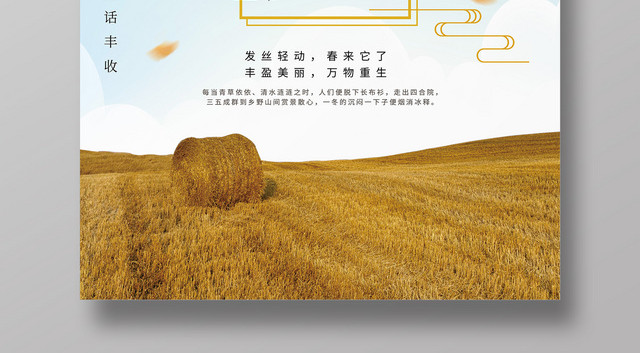 创意实景稻田二十四节气芒种海报