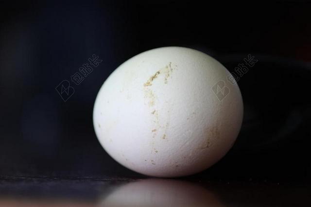 白色食物雨卵形一枚白色的鸡蛋下蛋食材食物背景图片