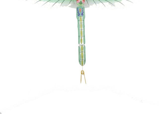 精美水墨绿色蜻蜓素材