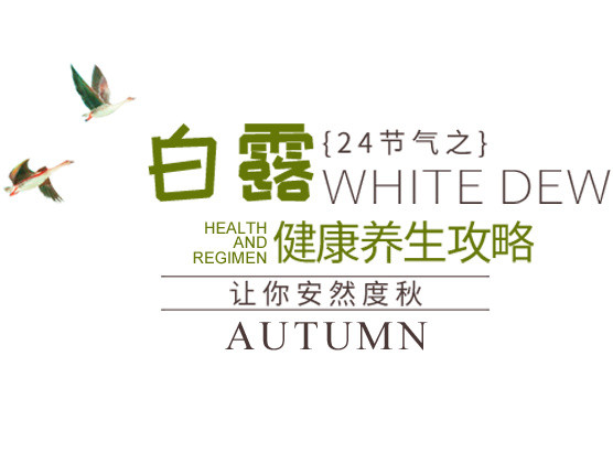 二十四节气白露主题素材