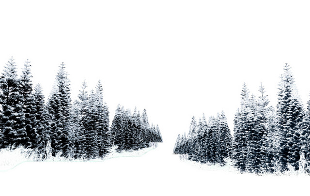 雪景树林素材