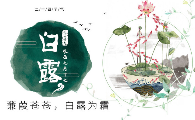 二十四节气白露主题素材