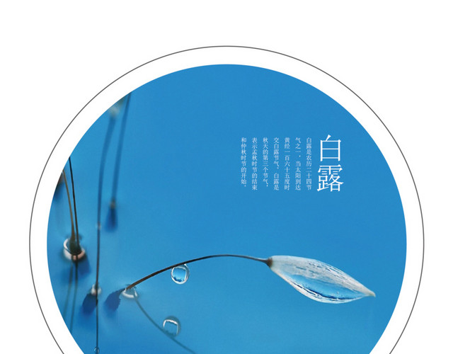 二十四节气白露主题素材