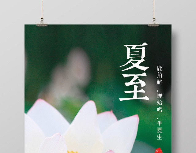 清新实景2019二十四节气夏至白色荷花宣传海报