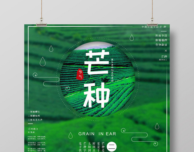 绿色清新2019传统二十四节气芒种莲花宣传海报