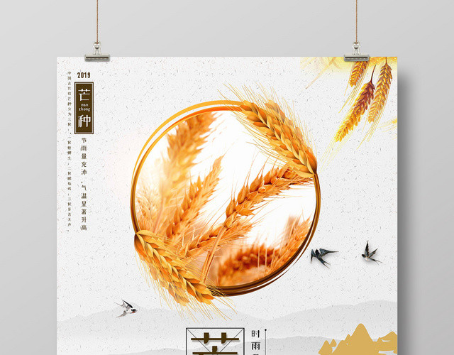 简约风2019传统二十四节气芒种金色小麦宣传海报