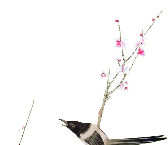 矢量手绘梅花花鸟设计素材