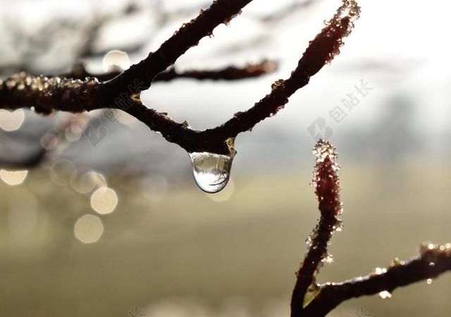 滴 露水 露珠 叶子 草 一滴水 秋季 MORGENTAU