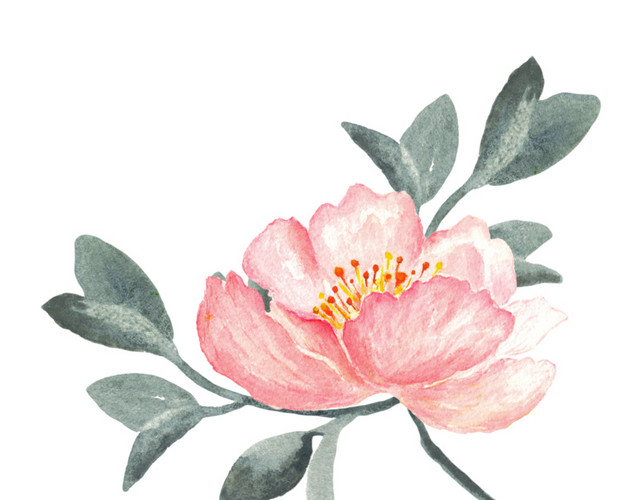 粉嫩清新手绘鲜花设计素材