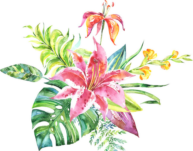 水彩粉嫩百合花设计素材