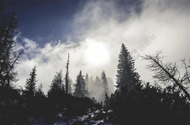 森林 雾 薄雾 云 冬天 雪 冷 霜 山 太阳 突破