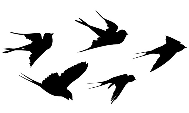 黑色燕子剪影矢量图片