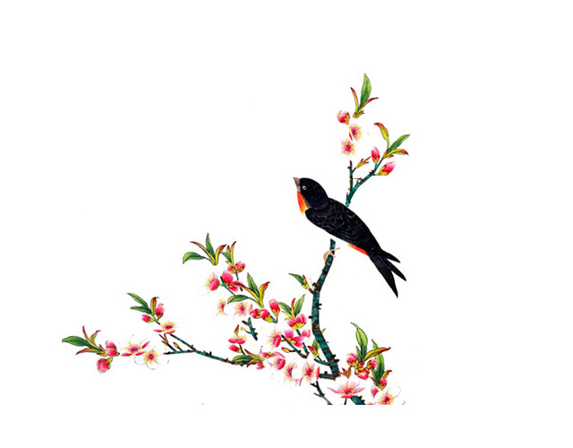 站在枝头的小鸟工笔画素材