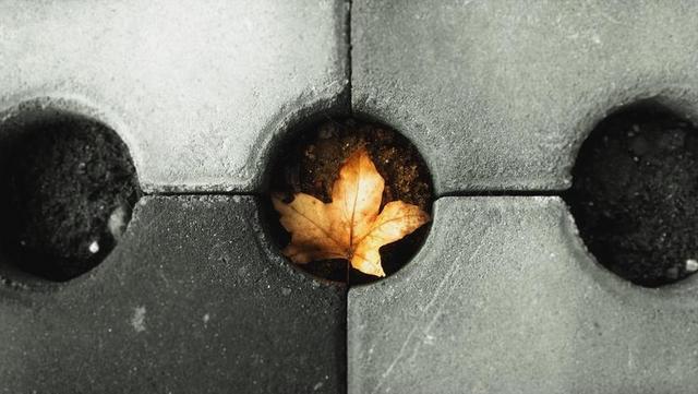 灰黄摄影鲜明灰色砖面圆孔内部的黄叶秋季摆拍摄影背景图片