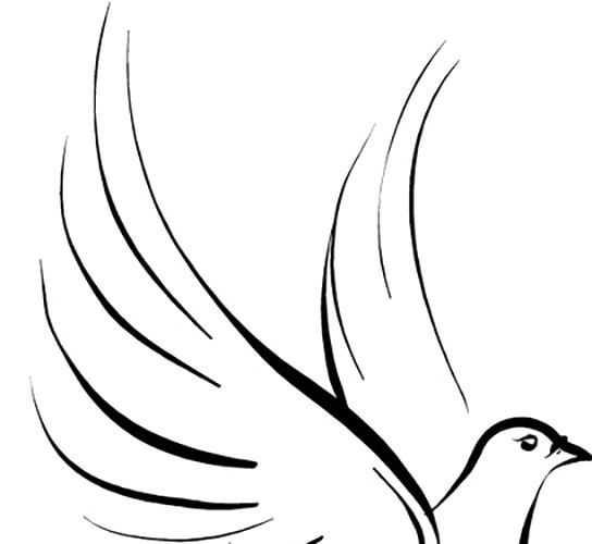 黑色线描鸽子设计素材