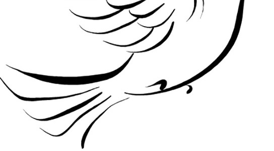 黑色线描鸽子设计素材