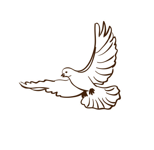 线描鸽子设计素材