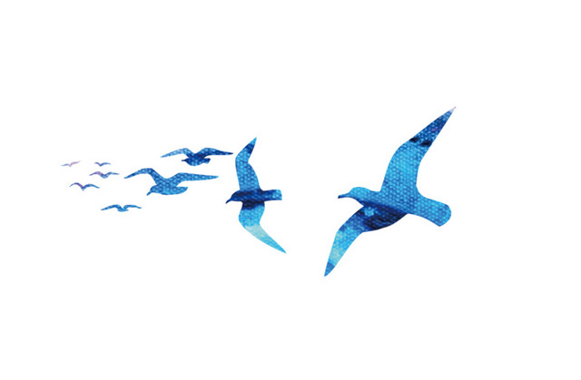 蓝色鸽子鸽群剪影设计素材