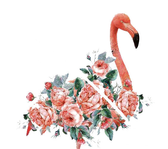 红色火烈鸟鲜花组合设计素材