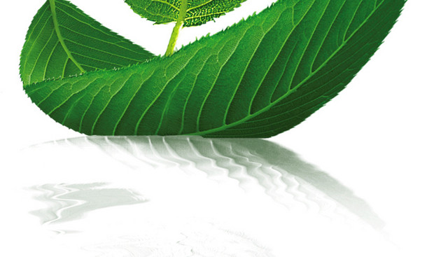 创意茶叶素材