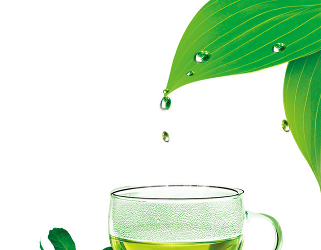 绿茶素材