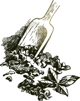 手绘炒茶背景素材