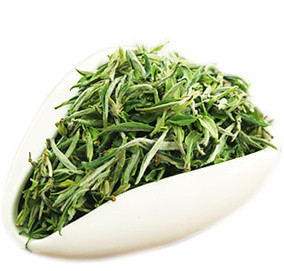 绿茶素材