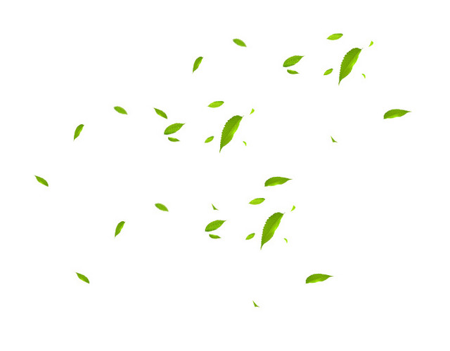 散落的茶叶素材