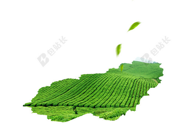 一垄垄茶田背景素材