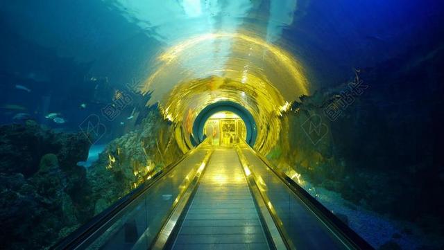 黄蓝观光透明海洋馆里的生物灯光观光旅游背景图片