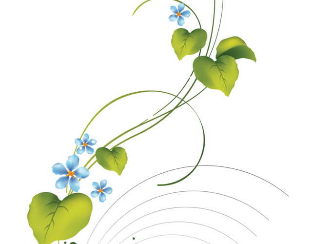 藤蔓花
