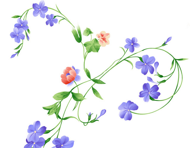 藤蔓花饰