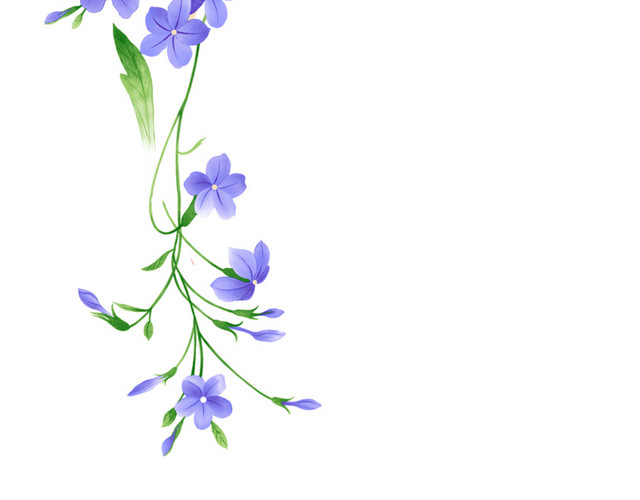 藤蔓花饰