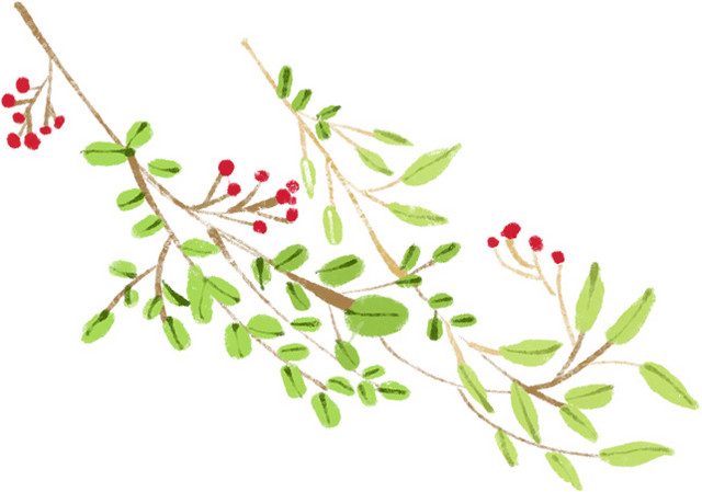 藤蔓花