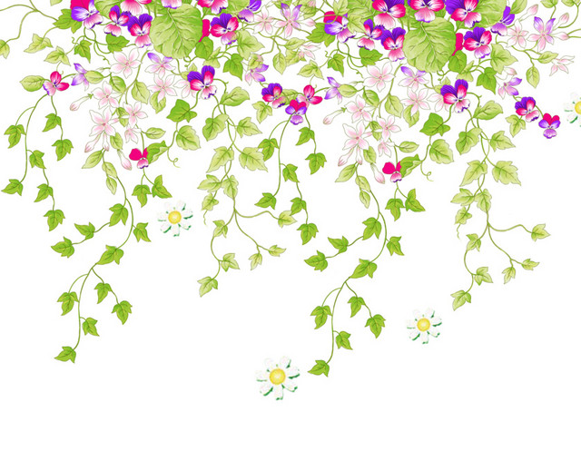 藤蔓花