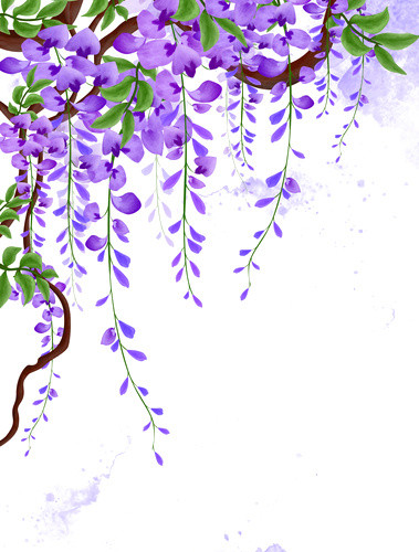 藤蔓花