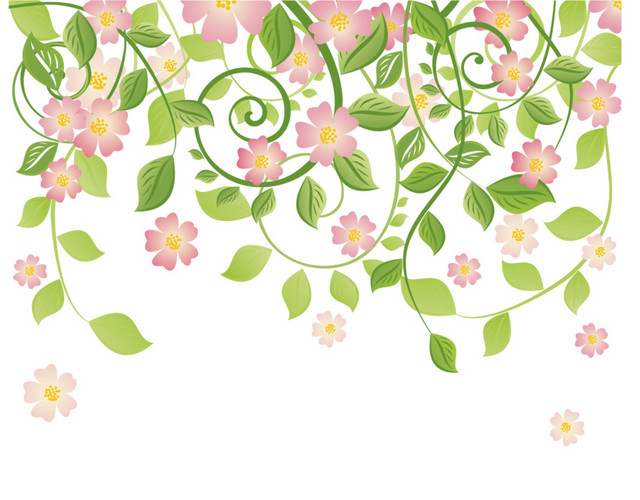 藤蔓花